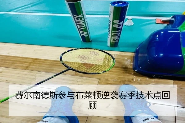 费尔南德斯参与布莱顿逆袭赛季技术点回顾